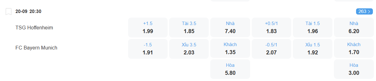nhan-dinh-soi-keo-hoffenheim-vs-bayern-luc-20h30-ngay-20-9-2025-2